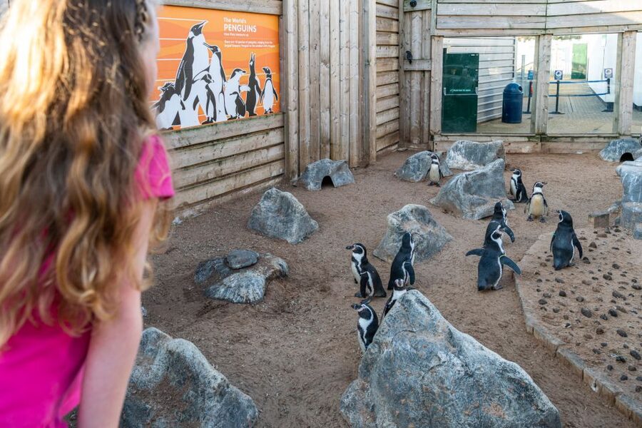 Sea Life Hunstanton - Key Points Before You Go