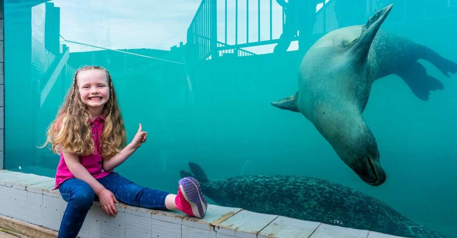 Sea Life Hunstanton - What Your Day at Sea Life Hunstanton Looks Like