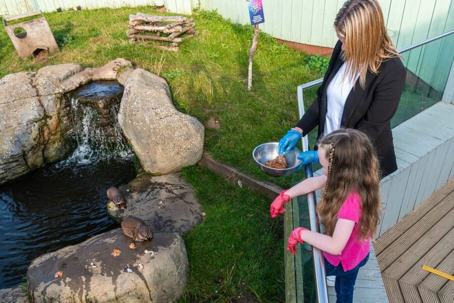 Sea Life Hunstanton - From Tiny Shrimps to Amazonian Piranhas