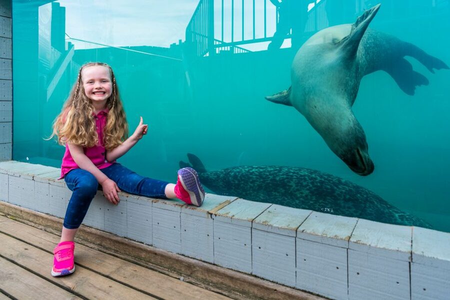 Sea Life Hunstanton - Price, Timing, and Overall Value
