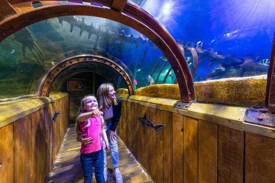 Sea Life Hunstanton - Getting There and Planning the Visit