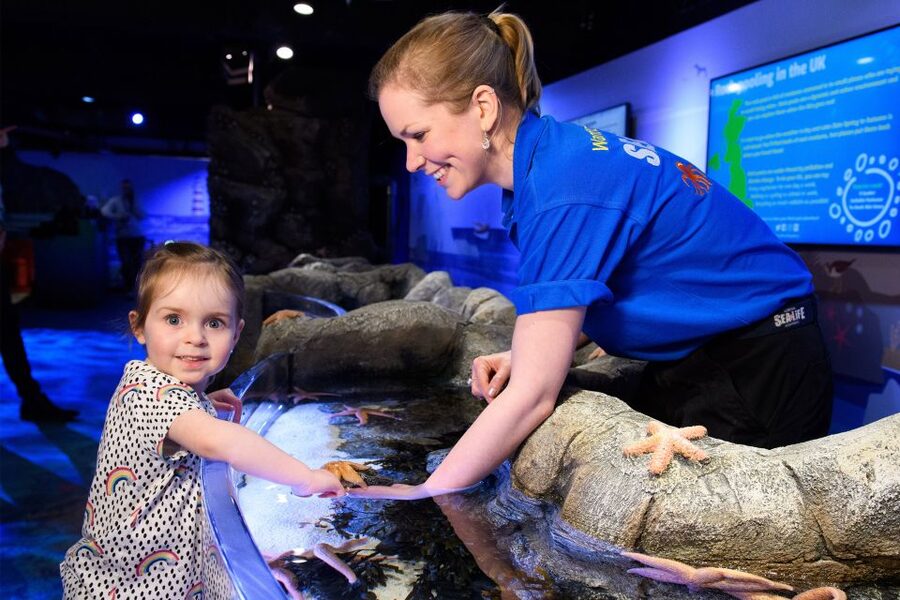 SEA LIFE London & DreamWorks Shrek's Adventure: Combo Ticket - How to plan the two attractions