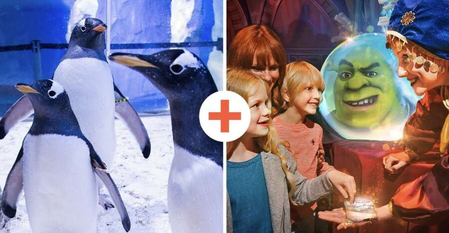 SEA LIFE London & DreamWorks Shrek's Adventure: Combo Ticket - Sharks, coral, and the new Coral Kingdom