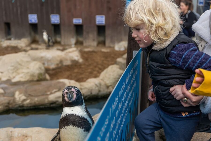 Sea Life Scarborough - Walk beneath the water in the Ocean Tunnel