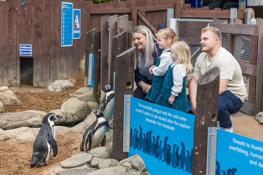 Sea Life Scarborough - Stop at the Seal Hospital