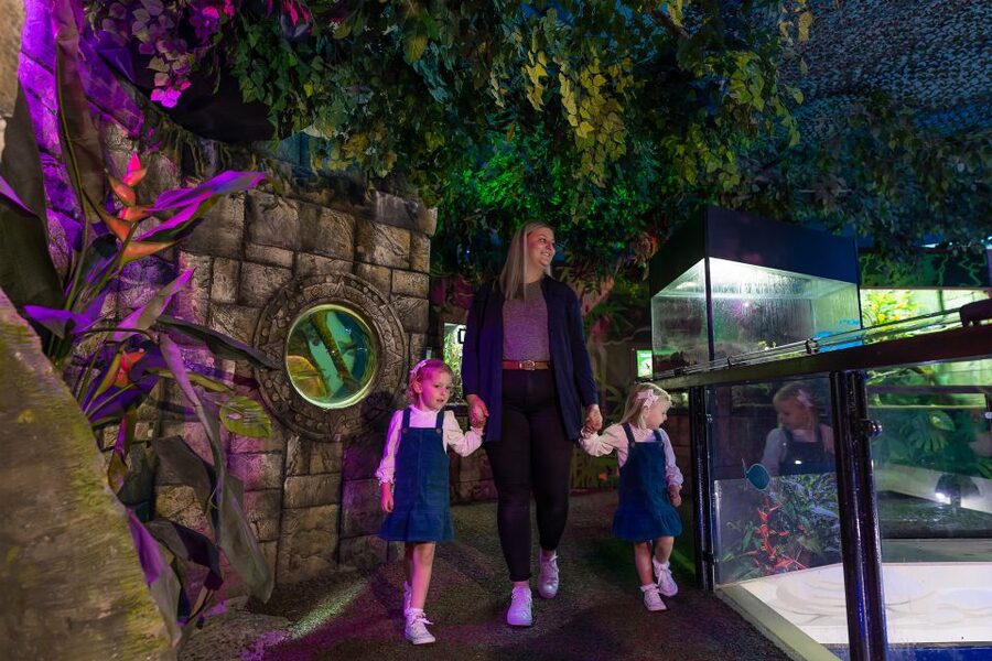 Sea Life Scarborough - Fit in the talks, feeds, and quiz trail