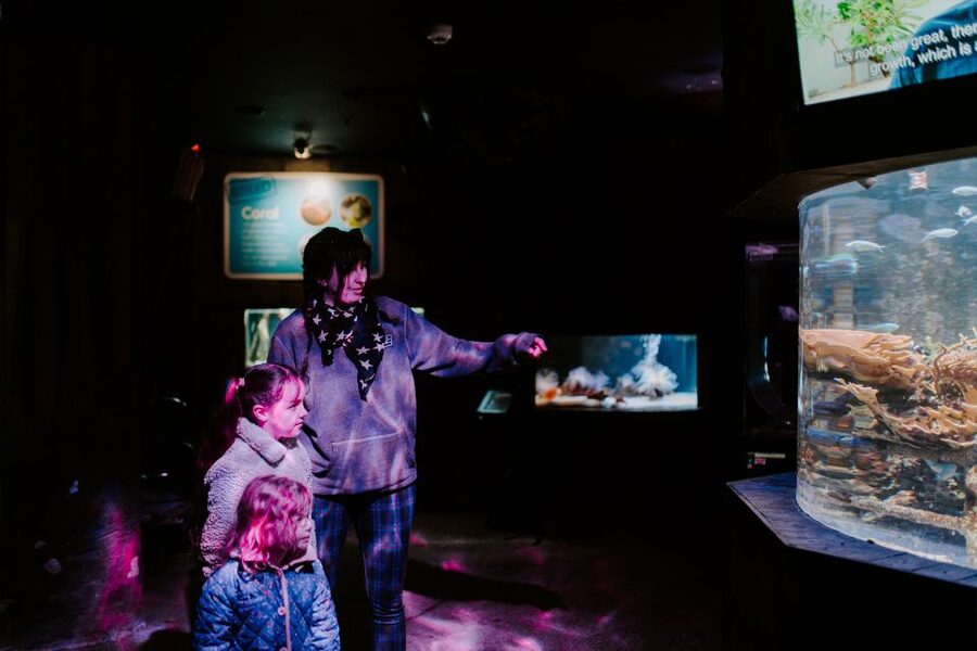 Sea Life Weymouth Admission Ticket - Key points to know before you go