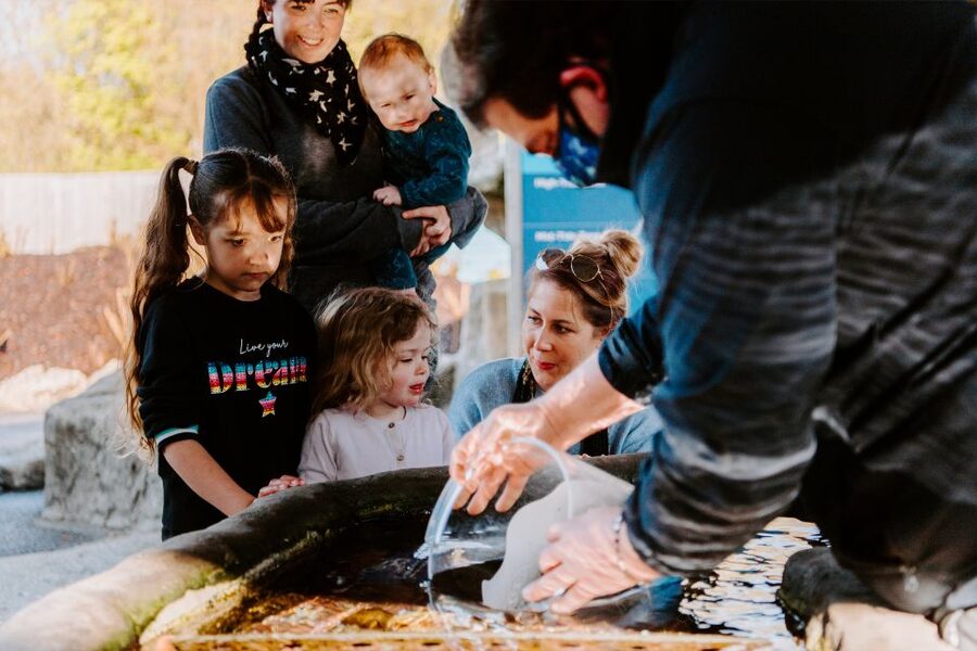 Sea Life Weymouth Admission Ticket - What your Sea Life Weymouth day looks like