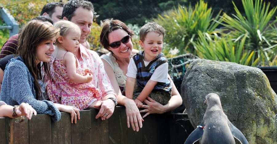 Sea Life Weymouth Admission Ticket - Otters, sea turtles, and seahorses