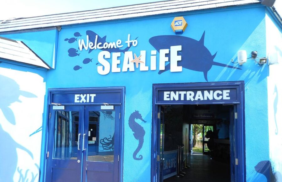 Sea Life Weymouth Admission Ticket - Rock pools bring the sea within reach