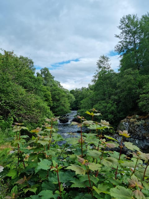 Shore excursion from Invergordon - Castles, Scenery & Whisky - Two hours at Dunrobin Castle