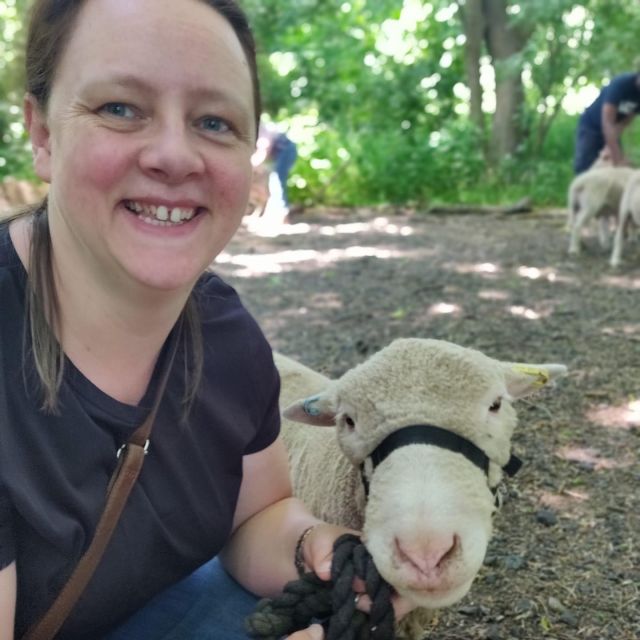 Shropshire: Sheep Trek with the Smallest Sheep in the World - Starting at Frankly Alpacas