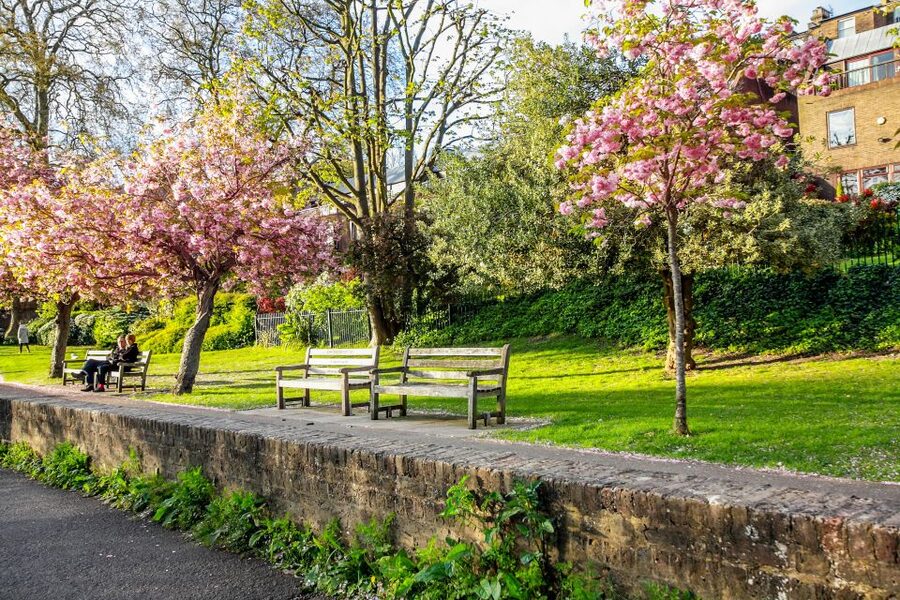 Skip-the-line Hampton Court Palace from London by Car - Key points to know before booking