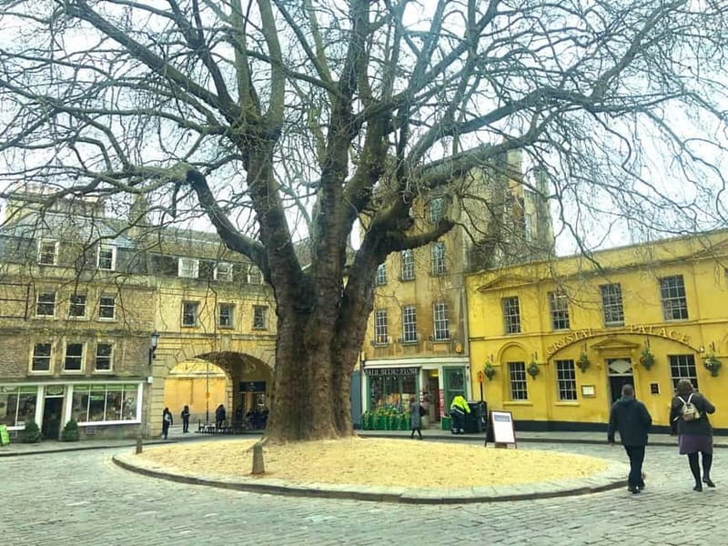 Stonehenge, Bath, Windsor and Roman Baths London Day Tours - Bath, with Roman streets and Georgian style