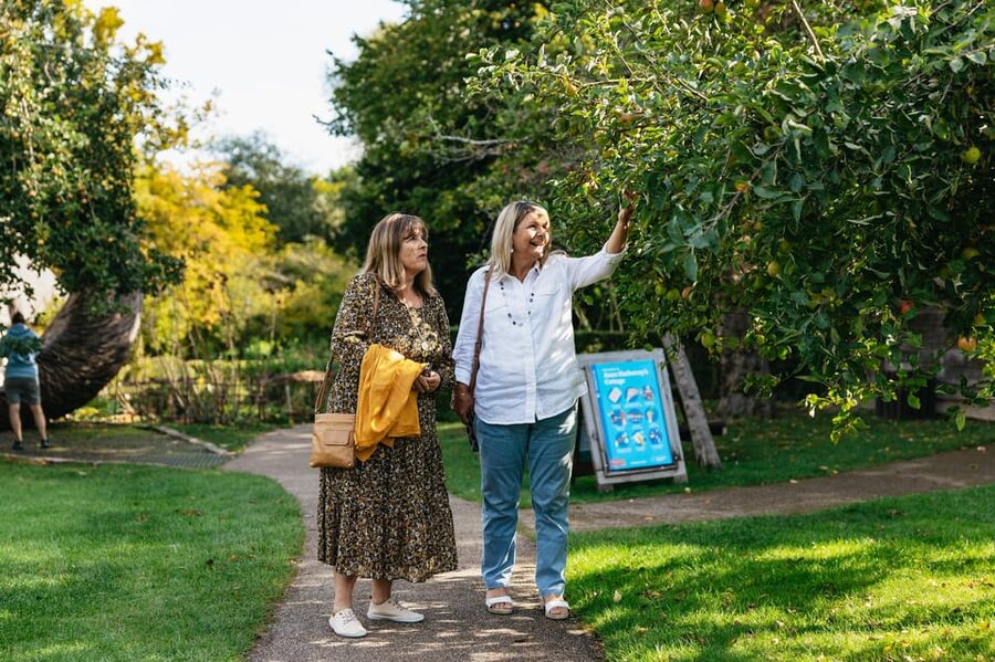 Stratford-upon-Avon: Anne Hathaway's Cottage Entry ticket - Is the $20.20 price good value?