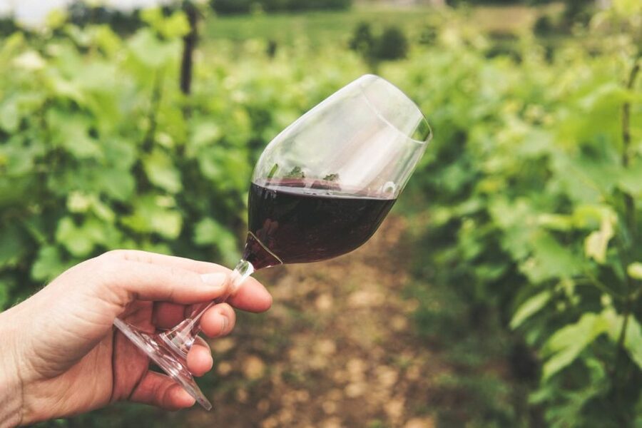 Sussex: Small-Group Wine Tours - Key points to know before booking