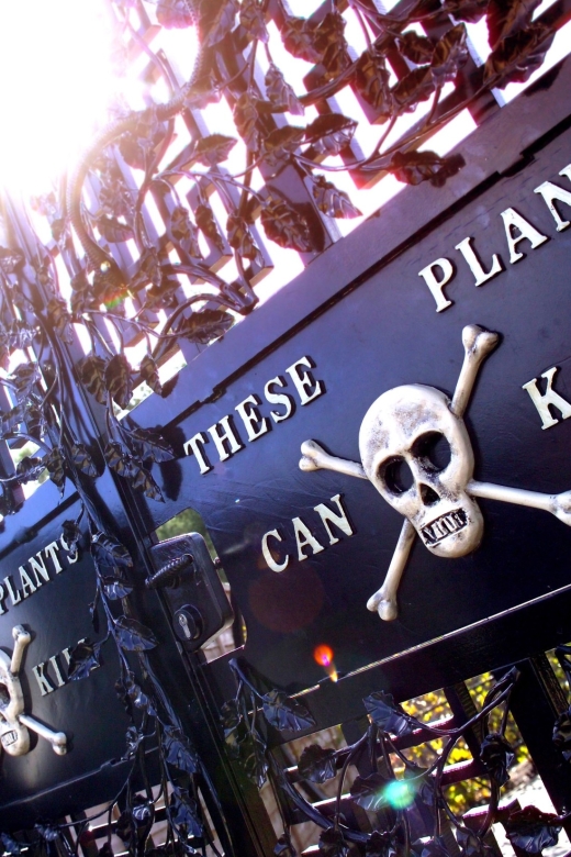 The Alnwick Garden: Entry Ticket - Bamboo, Serpent Garden, and the active side of the visit