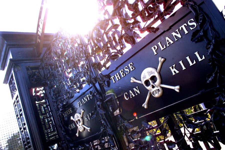 The Alnwick Garden: Entry Ticket - Is the $16 entry ticket good value?