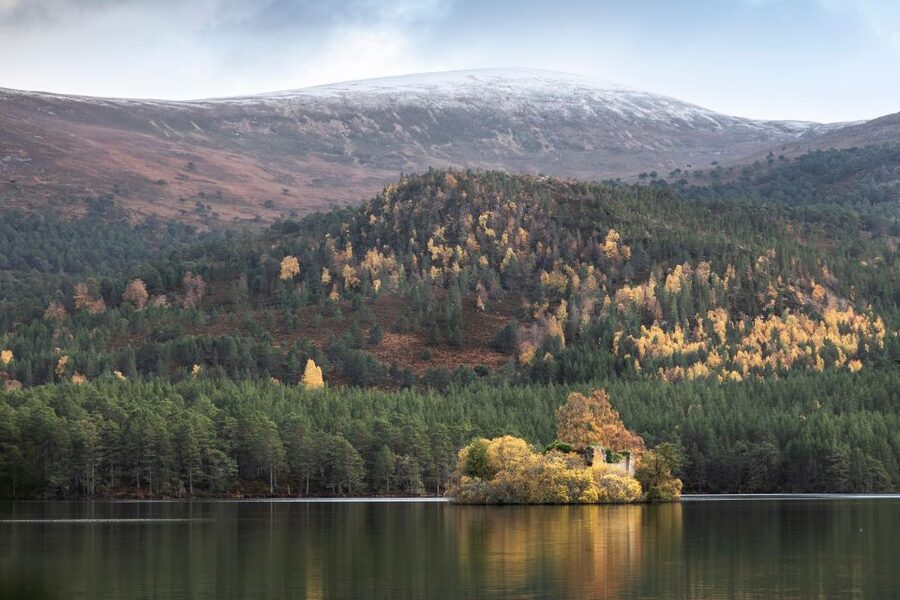 The Cairngorms, Culloden, and Speyside Whisky Tour - Culloden Battlefield: the day’s most important stop