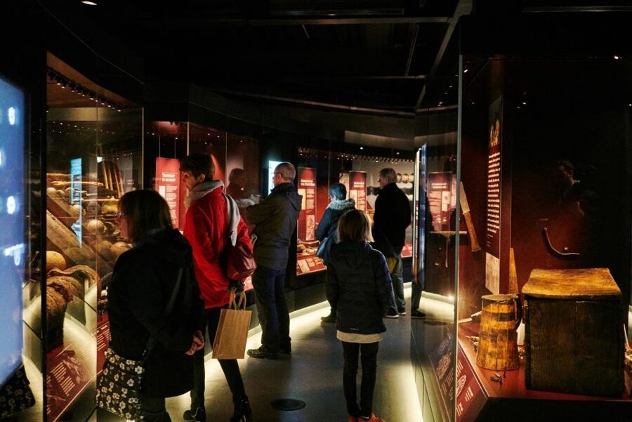 The Mary Rose: Day Admission Ticket - Seeing the Mary Rose hull upright