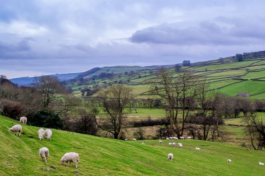 The Yorkshire Dales Tour from York - Key points to know before booking