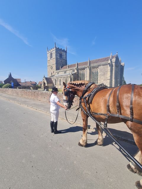 York: Horse Drawn Carriage Ride Around the Countryside York - Meeting the horses in Skipwith