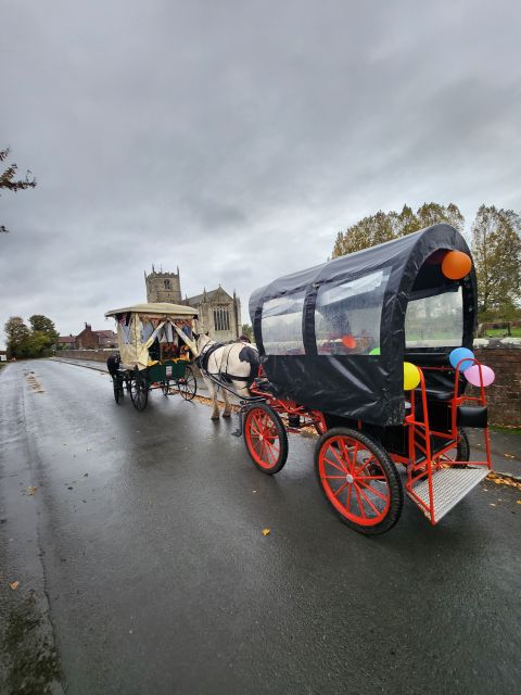 York: Horse Drawn Carriage Ride Around the Countryside York - Watching for deer and buzzards