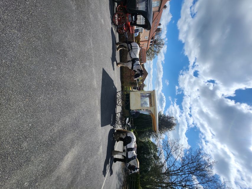 York: Horse Drawn Carriage ride & Cream Tea - Starting at Skipwith in North Yorkshire