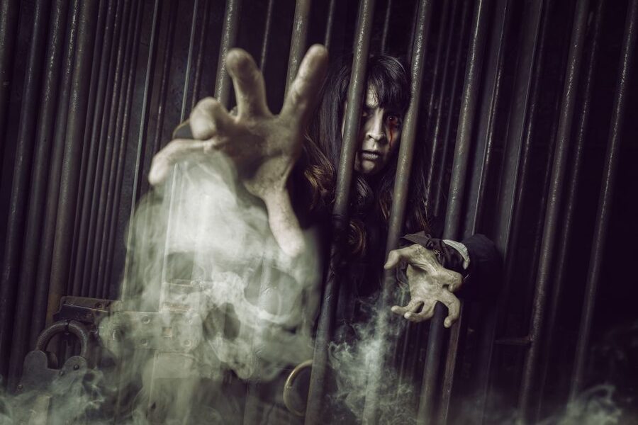 York: The York Dungeon Entry Ticket - What the York Dungeon actually is